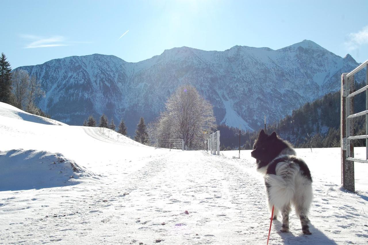 Ferienhaus Alpenglueck Gaicht Buitenkant foto