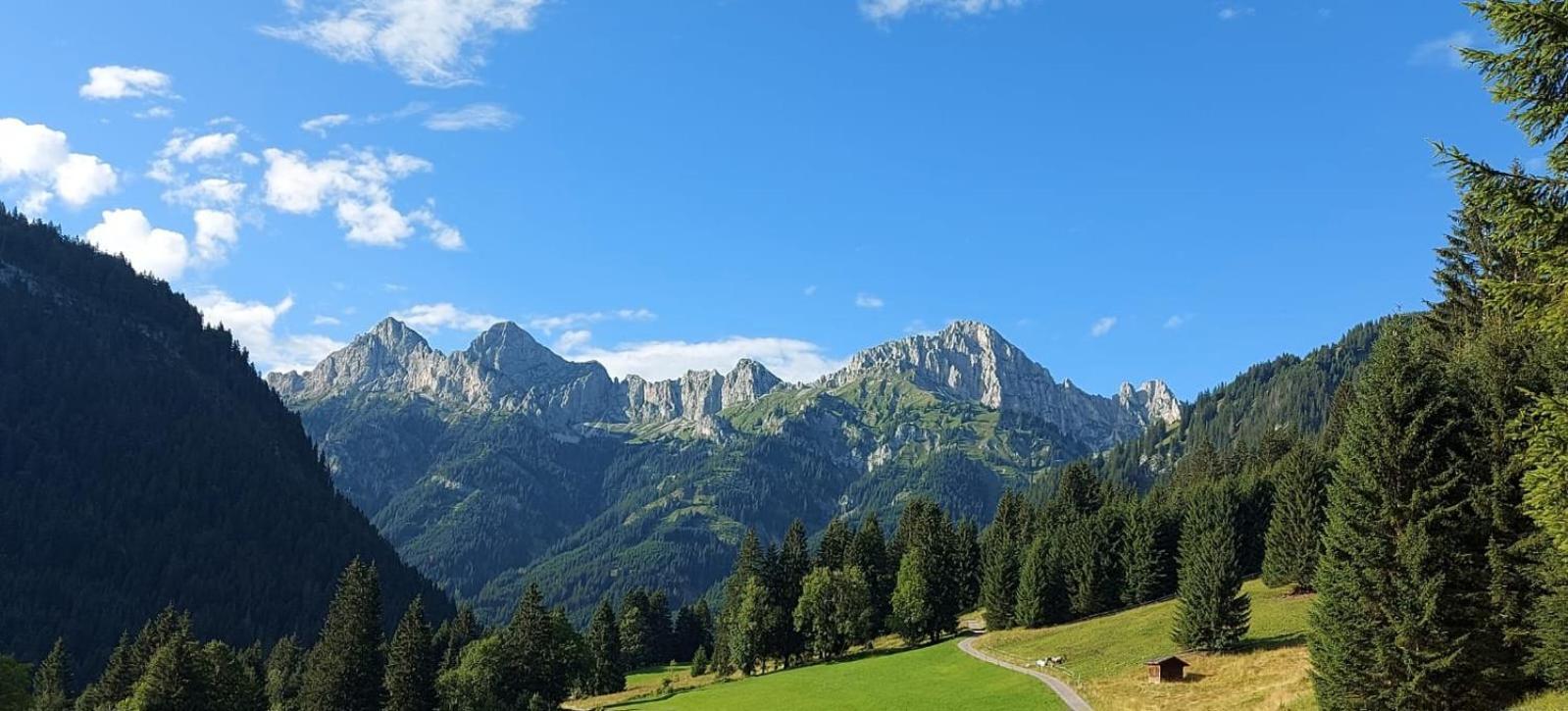 Ferienhaus Alpenglueck Gaicht Buitenkant foto